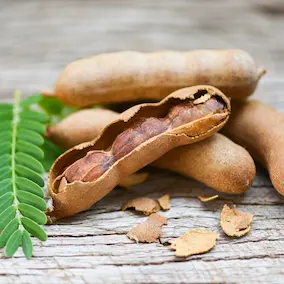 Tamarind pods – Pineal Guardian ingredient
